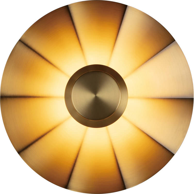 Dajanae Steel LED Wall Sconce