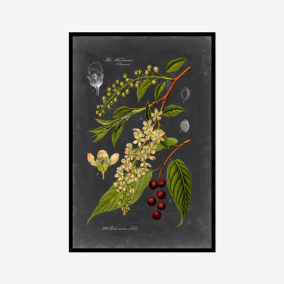 Midnight Botanical II by Vision Studio - Print