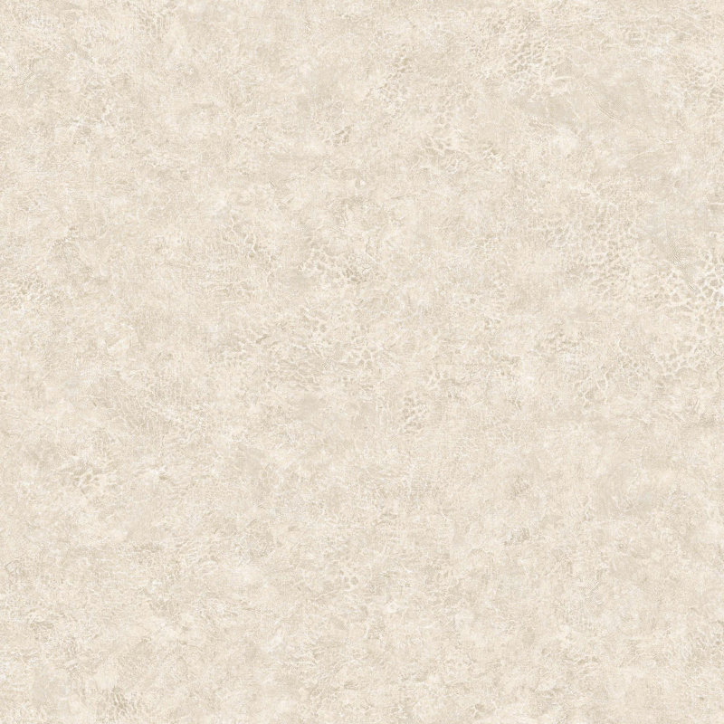 Cuir Roma, Chamois