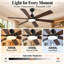 Ventilateur de plafond intelligent d'intérieur / extérieur de 60 pouces avec lumière DEL à intensité variable, moteur à courant continu réversible à 6 vitesses et télécommande