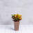 Sewickly Pot Planter-683715937-683715936