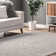 Machine Washable Light Gray Area Rug