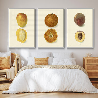 Mangue encadrée sur toile, ensemble de 3 pièces