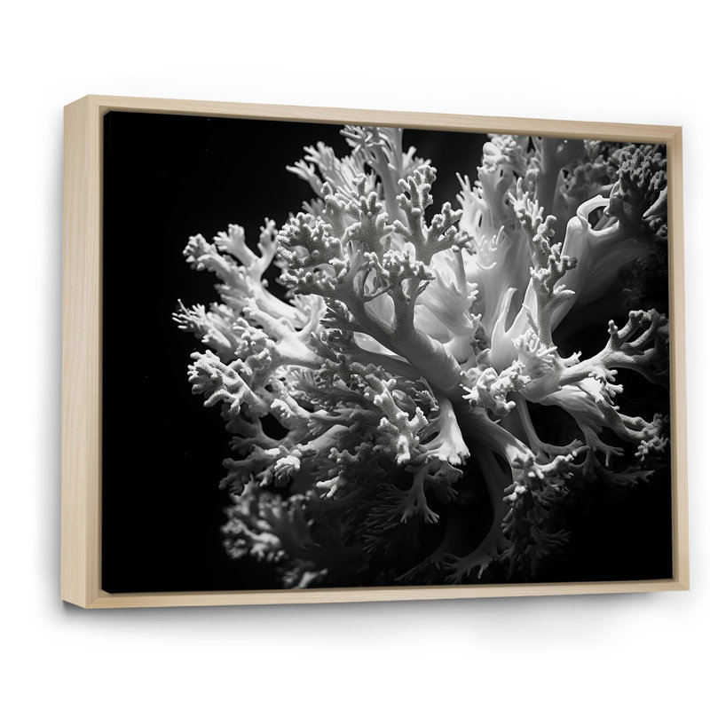 Anémone noire et blanche III - Décoration murale plage et océan, Cadre naturel flottant, H 30 po x l 40 po x P 1,5 po