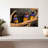 Rainbow Finches-107923054