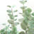 Adcock Artificial Eucalyptus Tree in Pot with Realistic Leaves and Natural Trunk-1855377503