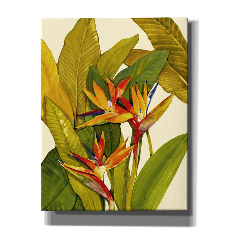 «Tropical Bird Of Paradise» par Tim O'toole, art mural sur toile, H 34 po x l 26 po x P 1,5 po