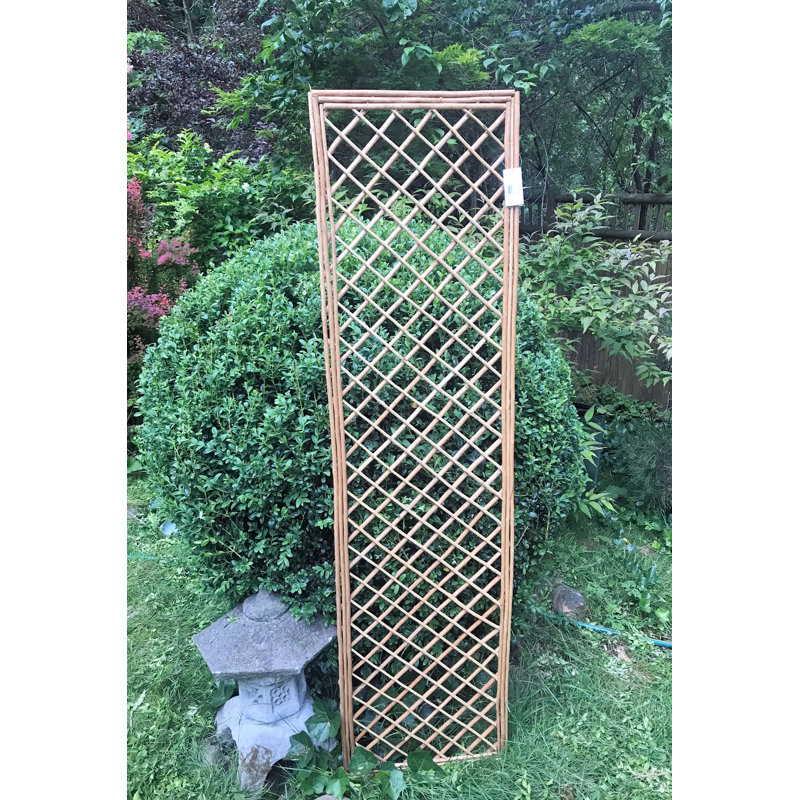 67'' Light Brown Willow Wood Trellis Panel