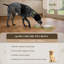 Rural Retreats Pet Bowl