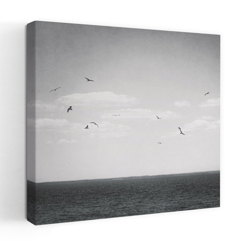 «Coastal Calm Days Iv Bw Crop» avec art d'oiseaux, H 18 po x l 18 po