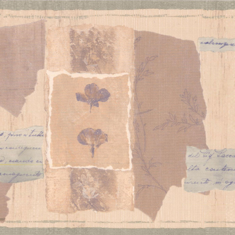 Bordure de papier peint L 15 pi x l 7 po