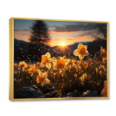 Daffodils Field Sunset I - impression
