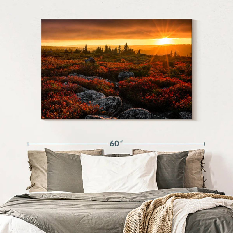 Alvord Dolly Sods Sunset, H 34 po x l 51 po