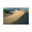 Mesquite Flat Sand Dunes, Death Valley National Park, California IV by Tim Fitzharris - Gallery-Wrapped Canvas Giclée on Canvas-365832672-365832687