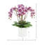 Orchids Arranged in Fiberstone Planter-427188119