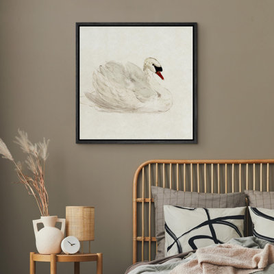 Animals " Elegant Swan In Repose "