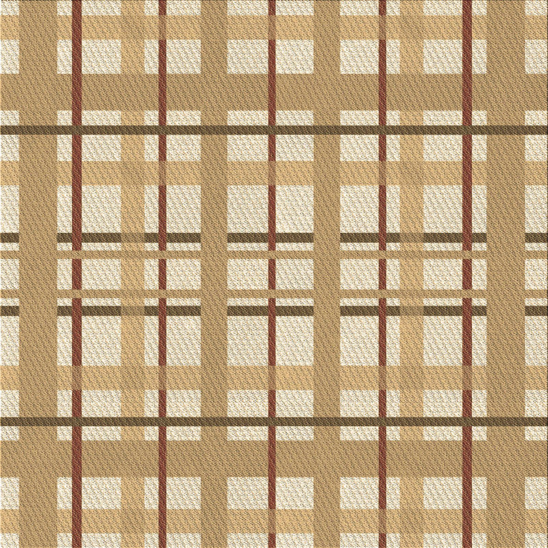 Plaid Indoor Rug, Square 4'