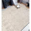 Damask Area Rug