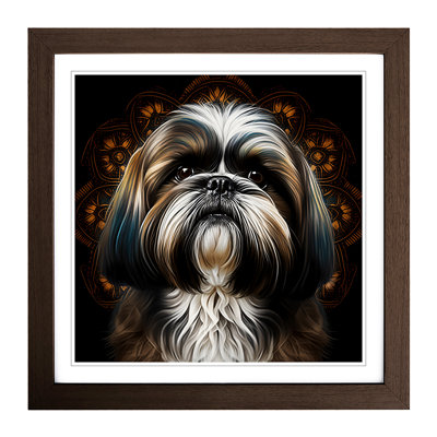 Shih Tzu Ornamental - Framed Print