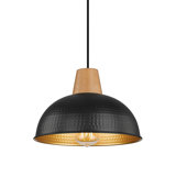 Barbary 1 - Light Dome Pendant