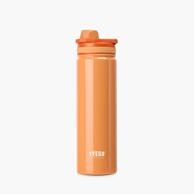 TYESO Stainless Steel Light Weight Sports Bottle With Handle, 25 OZ
