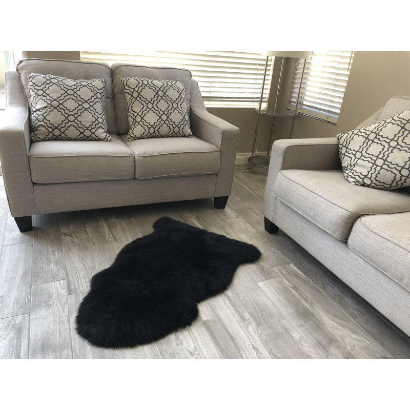Tapis noir Wiesner, Nouveauté 2 pi x 3 pi