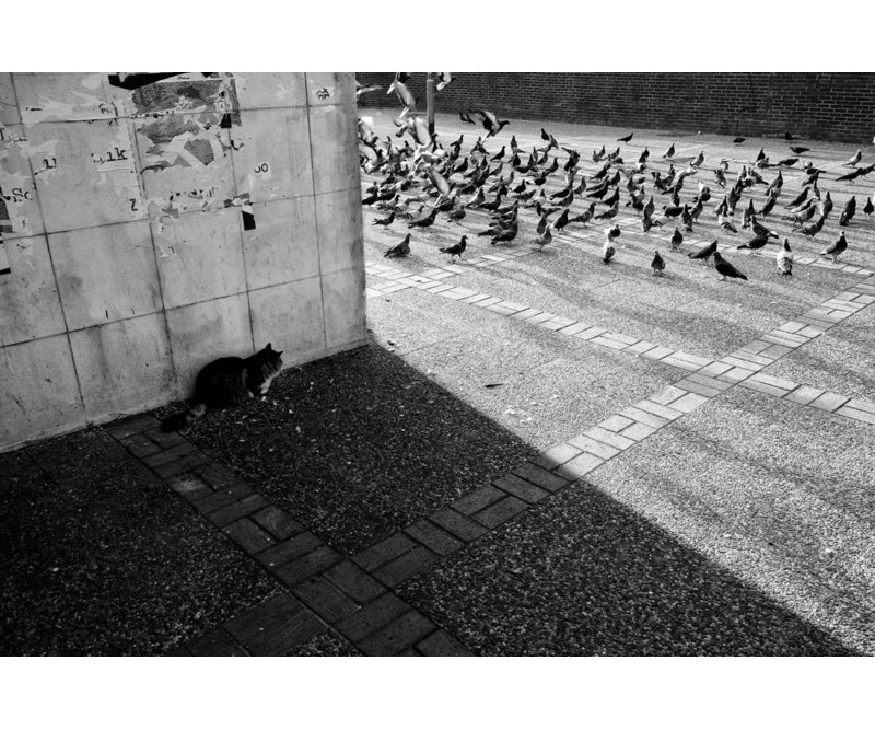 Wrapped Canvas Print, 60.96 cm H x 91.44 cm W