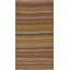 Striped Area Rug in Brown