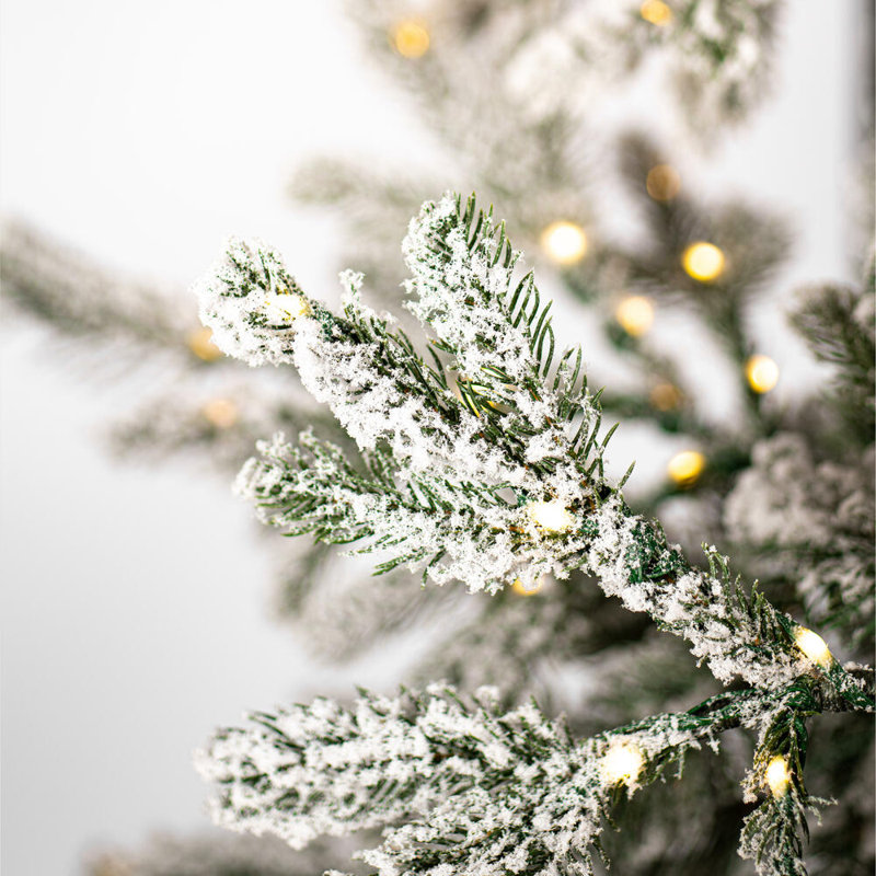 Giusta Lighted Artificial Christmas Tree, 7.5'