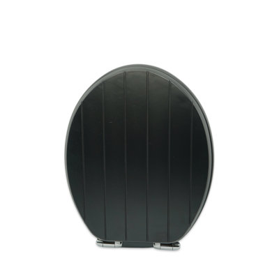 Oval Toilet Seat