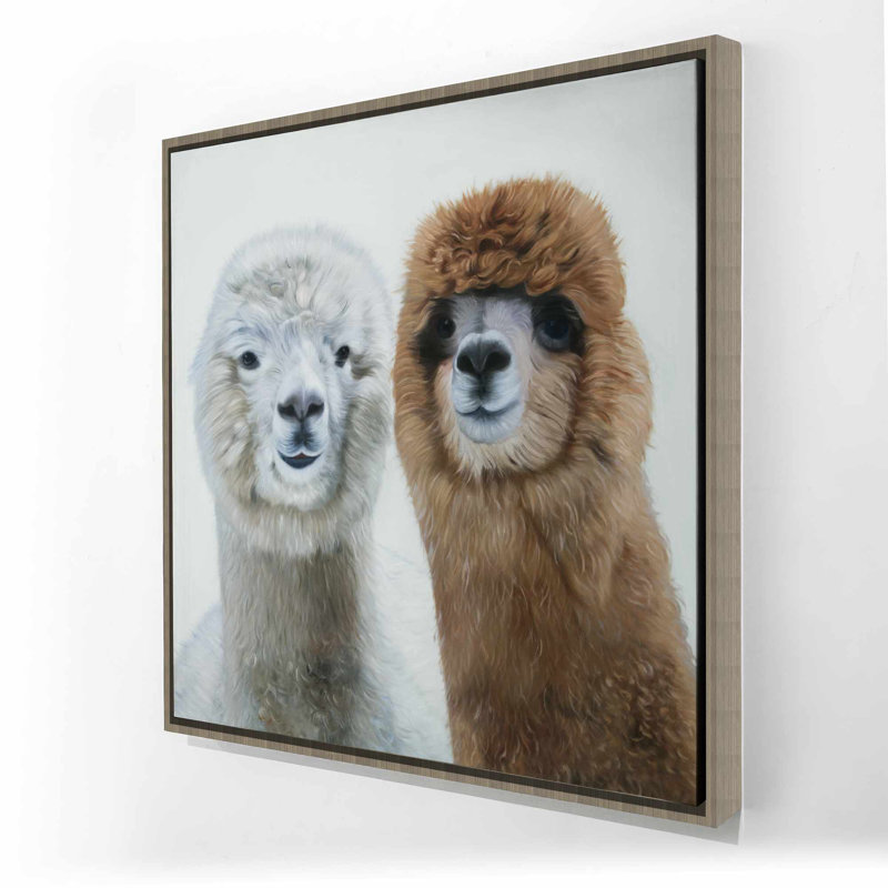 Deux lamas - Toile encadrée pour animaux de ferme
