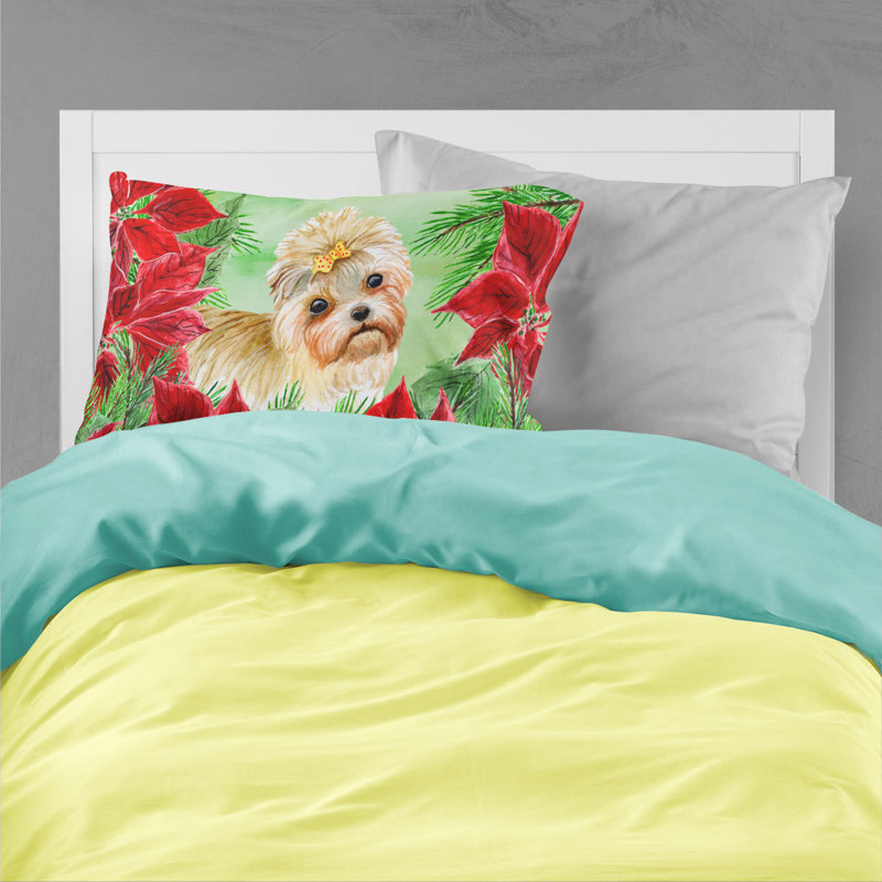 Microfiber, Morkie