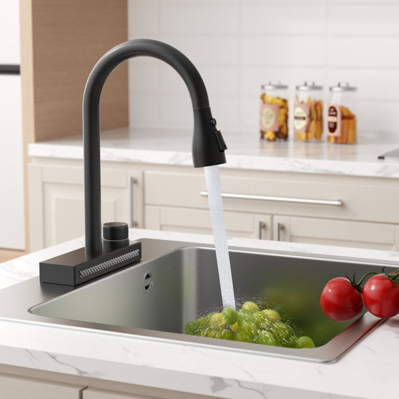 Black 3-function Pull-down Rain Kitchen Faucet