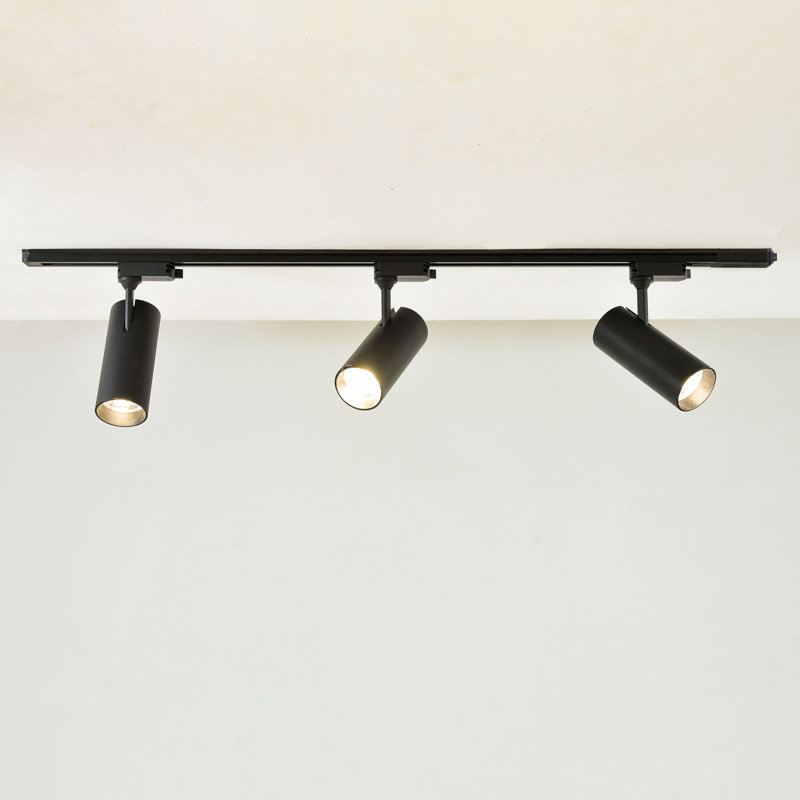 Limiteur de courant de fin de ligne 240 watts 120 volts 2 ampères, Noir