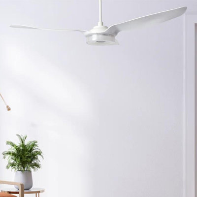 Aroz 60'' Ceiling Fan with LED Lights