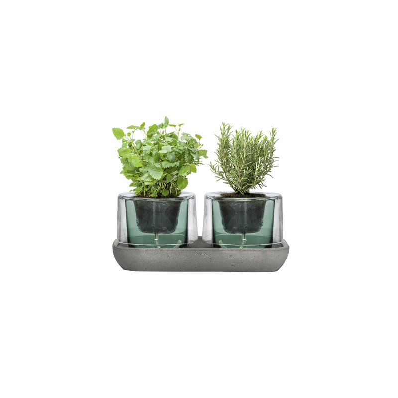 Plateau transparent pour jardin Roots Herbs avec base verte