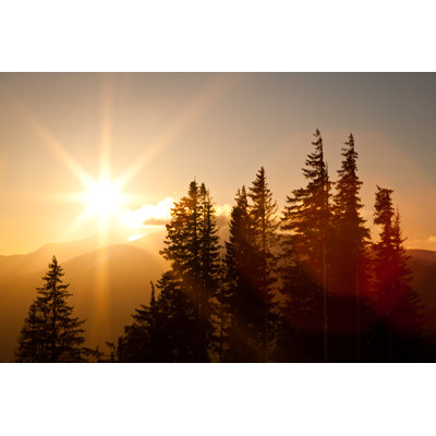 Winter Sun by YouraPechkin - Print