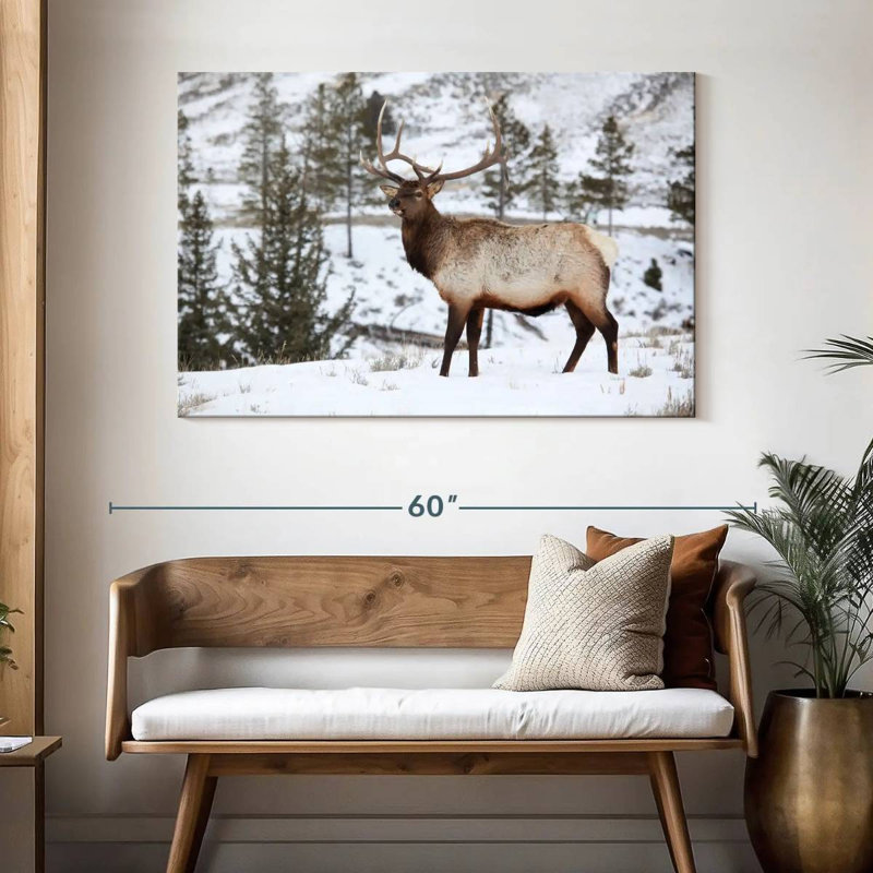 Wapiti d'hiver, H 32 po x l 48 po