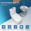 Toilette allongée 1 pièce à double chasse 1,1 / 1,6 Gpf en blanc brillant