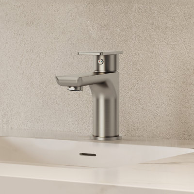 Single Hole Bathroom Faucet with Drain Assembly, Single Handle Bathroom Sink Faucet 