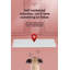 Tapis pour chien (ensemble de 50)