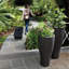 Grand pot à fleurs TruDrop-2067248472-2067248475