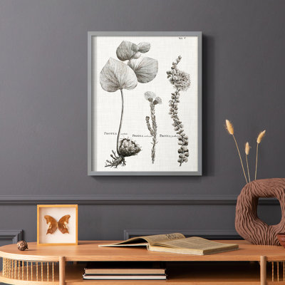 Protea II, reproduction encadrée - bois massif