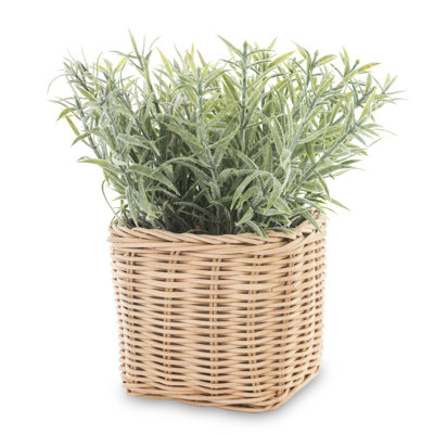17cm Faux Evergreen Plant in Wicker/Rattan Pot