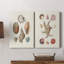 Toile tendue Knorr Shells & Coral I-Premium Gallery - prête à être accrochée-108965486