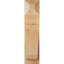 Sapin Douglas Douglas-31651515-106952010