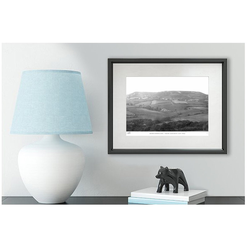 Morcombelake, From Golden Cap 1902 by Francis Frith - Single Picture Frame Print, 60cm H x 80cm W x 2.3cm D