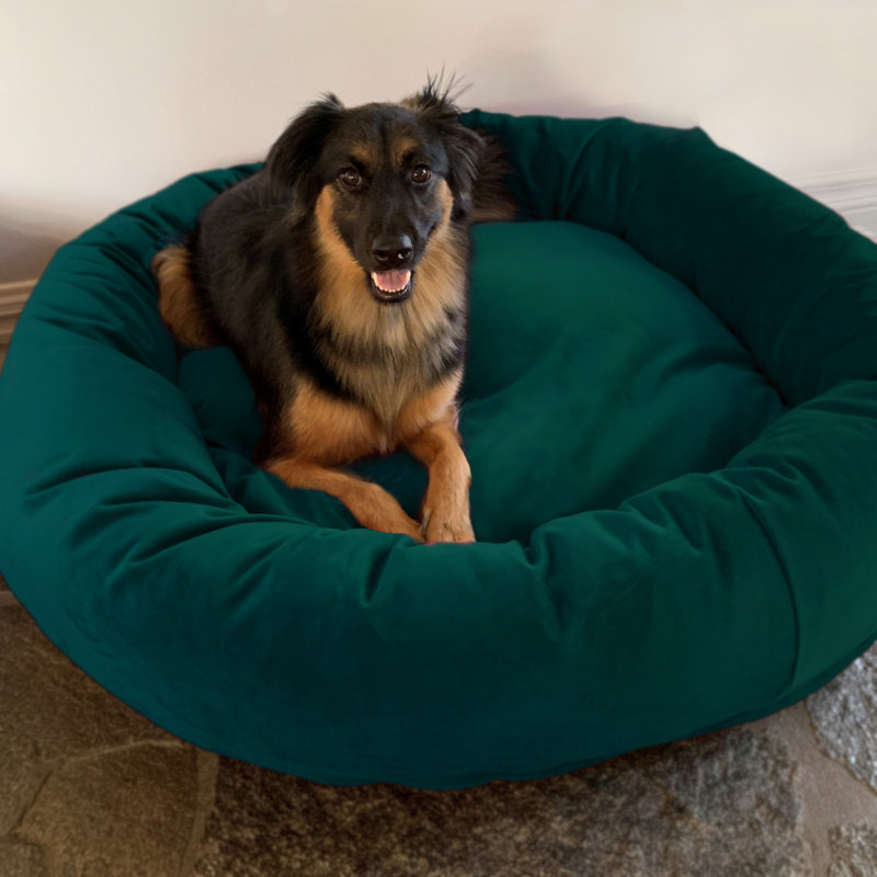 Lit pour chien de luxe en velours, mousse à mémoire de forme lavable semblable au nuage, Moyen (l 37 po x P 37 po x H 10 po)