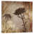 Wrapped Canvas