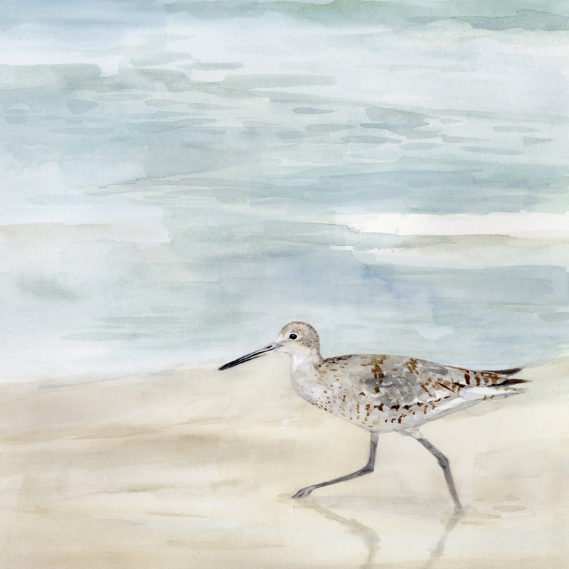 Speckled Willet II by Victoria Borges - Wrapped Canvas Painting, 30cm H x 30cm W x 3.8cm D